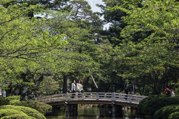 Traditional wooden bridge in Kenrokuen surrounded by green foliage and pond, Kanazawa, Japan