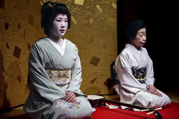 Two geishas sit next to each other in the Nishi Chaya tea house district in Kanazawa, Kanazawa, Ishikawa, Japan