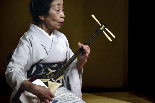Senior geisha plays Shamisen in the Nishi Chaya tea house district in Kanazawa, Kanazawa, Ishikawa, Japan