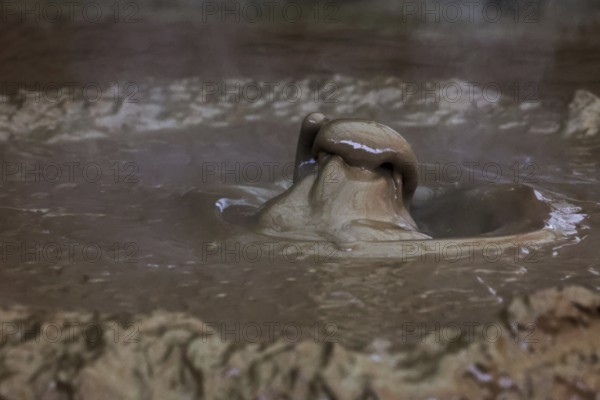 Bubbling mud in the solfatar field of Kamado Jigoku in Beppu, Beppu, Kyushu, Japan