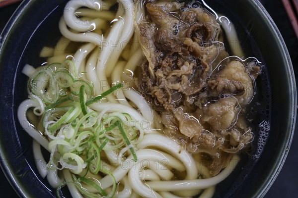 Udon noodle dish at a restaurant in Aso, Aso, Japan