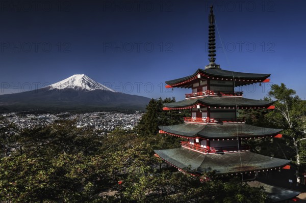 Chureito Pagoda with a view of Mount Fujisan in the morning light in Fujiyoshida, Fujiyoshida, Japan