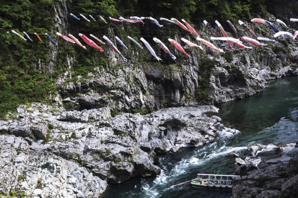 Lots of colorful fabric carps decorate the air above a river in a rocky landscape, Iya, Japan