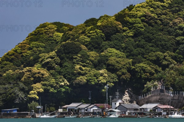 A fishing village nestled between coast and wooded hills, Kii Peninsula, Japan