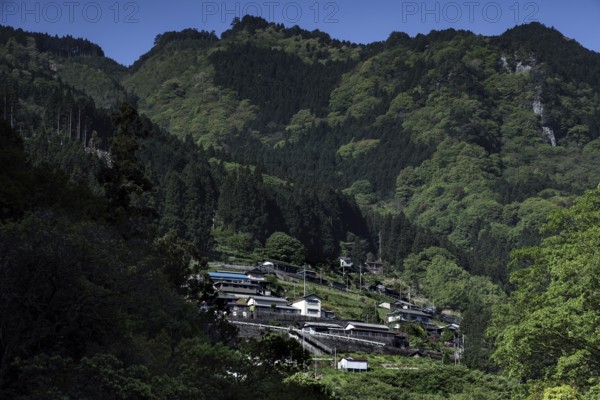 Small village nestled in the green mountain landscape of the valley, Iya, Japan
