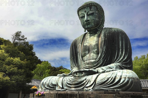 The majestic Big Buddha at Kotokuin Temple surrounded by nature in Kamakura, Kamakura, Kanagawa, Japan