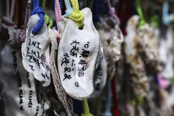 Inscribed oyster shells at Hase-dera Temple in Kamakura, Kamakura, Japan