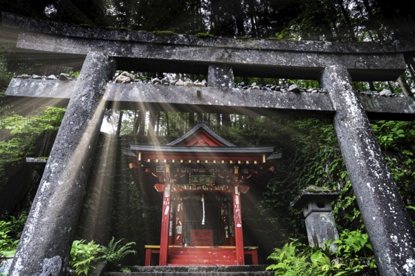 Torii and shrine in Nikko surrounded by nature with rays of light that illuminate the scene, Nikko, Japan