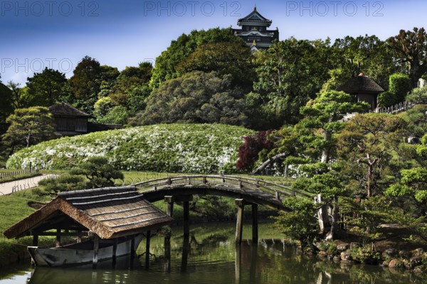 Traditional Japanese garden in Korakuen with round wooden bridge, Okayama, Japan
