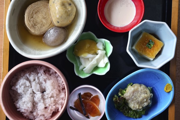 Diverse Japanese dish with yuba and colorful side dishes, Nikko, null, Japan