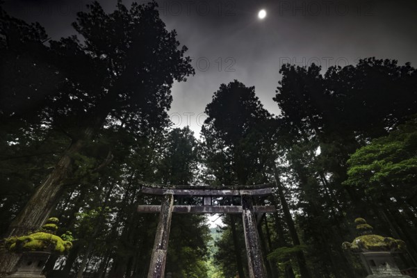 Torii at Toshogu shrine at night in mystical forest landscape, Nikko, Japan