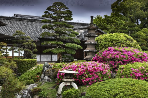 Traditional Japanese garden with pagoda, tea house and bright flowering shrubs, Okayama, Okayama, Japan