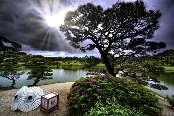 Painting view of Korakuen of Okayama Castle with bright sun and Japanese umbrellas, Okayama, Okayama, Japan