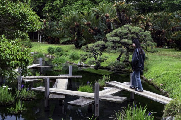 Woman in a Japanese garden walking across a zigzag bridge surrounded by lush greenery, Okayama, Japan
