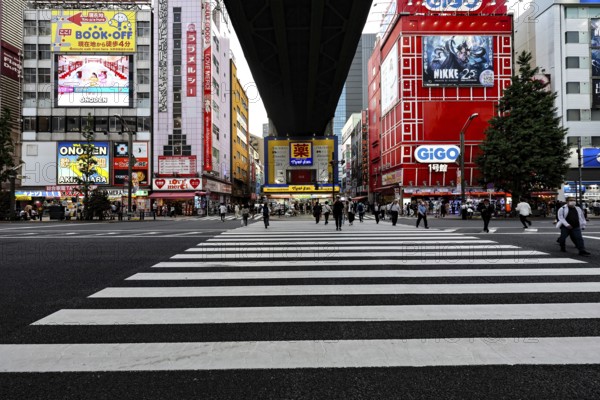 Bustling shopping street with big neon signs in Akihabara, Tokyo, Akihabara, Japan