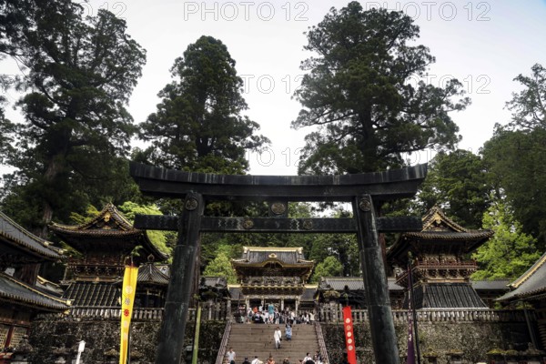 Entrance to Toshogu Shrine surrounded by trees and architecture, Nikko, Japan