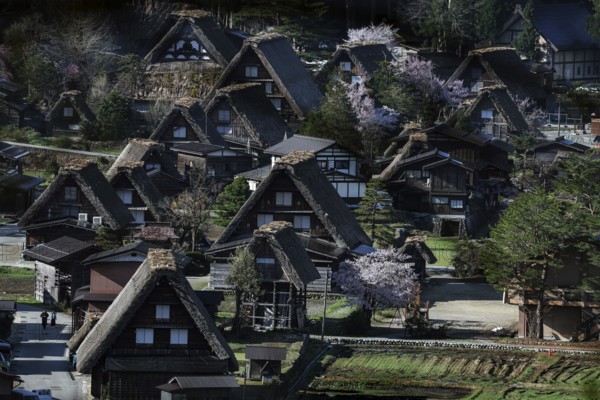 Traditional Gassho Houses in Shirakawa-go Historic Village, Shirakawa, Gifu, Japan