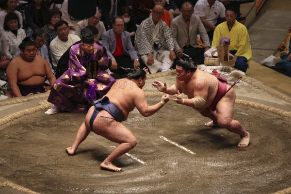 Sumo wrestlers in action, the audience is completely enthralled, Tokyo, Japan