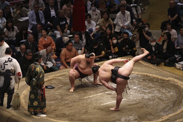 Preparatory combat stance in the Kokugikan sumo ring, Tokyo, Ryogoku, Japan