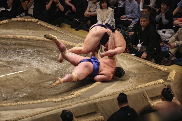 Sumo wrestler falls during a fight in Kokugikan, Tokyo, Ryogoku, Japan