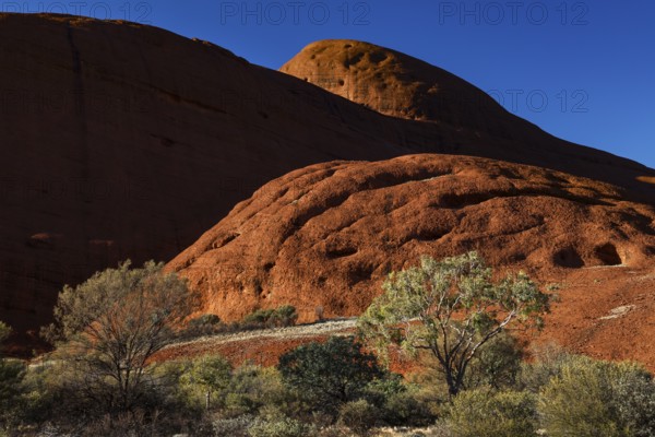 Red rocks in the Valley of the Winds surrounded by scrubland near Kata Tjuta, Kata Tjuta, Northern Territory, Australia