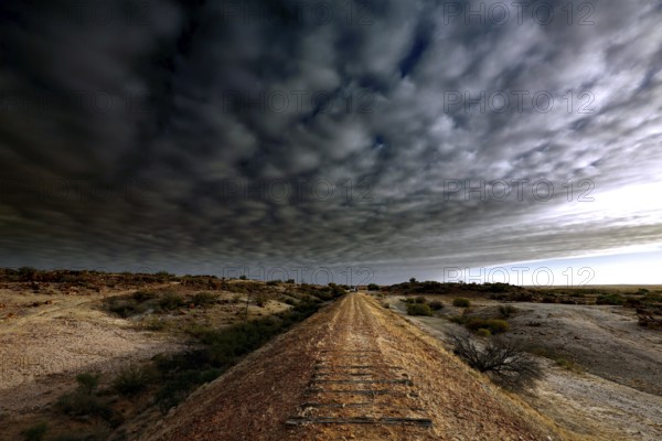 Railway track under dramatic cloud cover in the evening light of the Australian outback, Oodnadatta Track, null, Australia