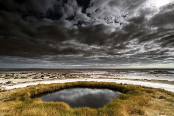 Artesian Source Blanche Cup under dramatic sky on the Oodnadatta Track, Mound Springs, South Australia, Australia