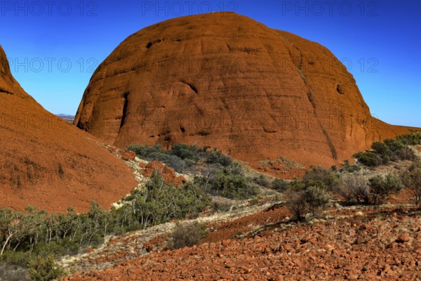 Large round rock formation with dense vegetation in the valley, Kata Tjuta, Northern Territory, Australia