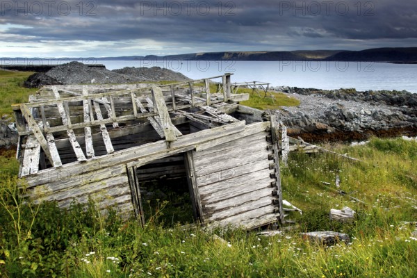 Ruined wooden house ruin on a coastal meadow in Hamningberg, N Hamningberg, null