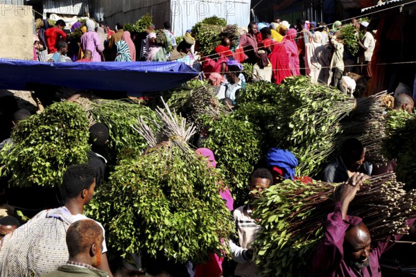 Large khat bundles on a busy retail market, Awaday, Ethiopia