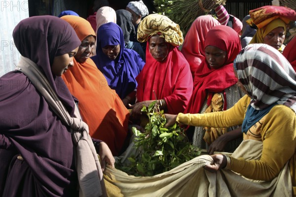 ETH Awaday, Khat, Market