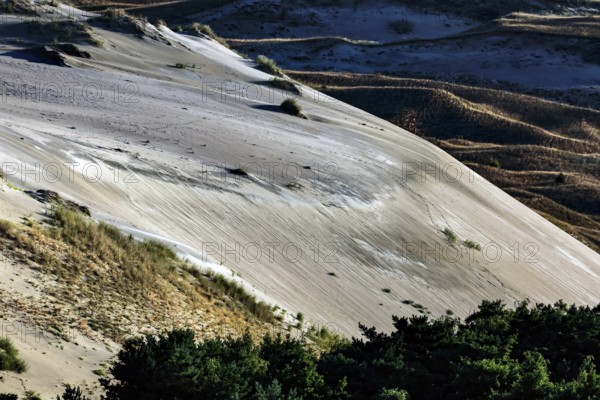 Sand dune formations stretch majestically against lush vegetation in Nagils Reserve, Nagliai, Lithuania