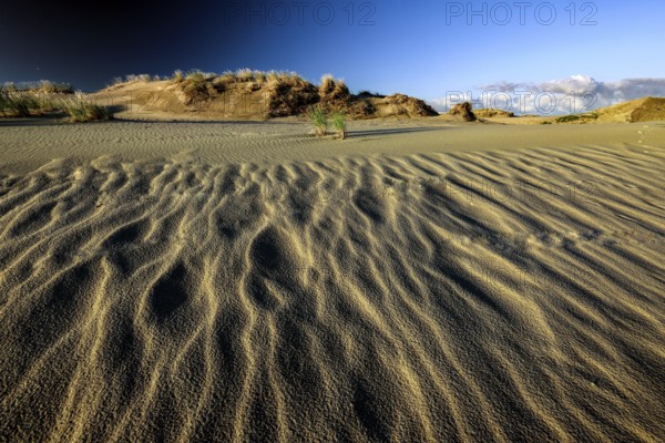 Dramatic sand dunes in the Nagils Nature Reserve against a clear blue sky, Nagliai, Lithuania