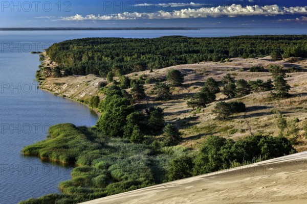 Lush vegetation over sand dunes with views of sparkling sea and clear skies, Nagliai, Lithuania