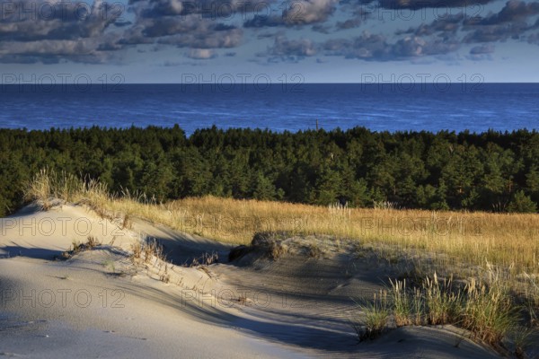 Contrasting landscape with sand dunes, dense forest and sea views under blue sky, Nagliai, Lithuania