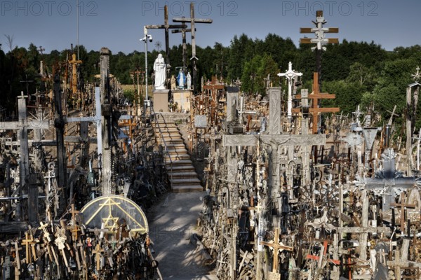 Overview of countless crosses on a hill with trees in the background, Siauliai, Lithuania