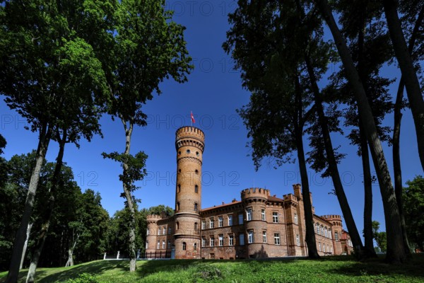 The majestic Raudonn Castle surrounded by tall trees under a bright blue sky, Raudonn, Lithuania