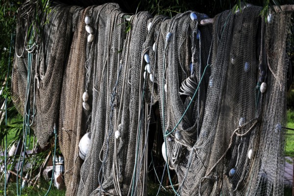 Fishing nets hang in the port of Juodkrante, between ropes and netting, Juodkrante, Lithuania