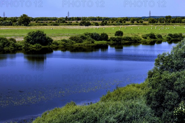 View of the river in Rambynas Regional Park with lush vegetation and clear sky, Memel, Lithuania