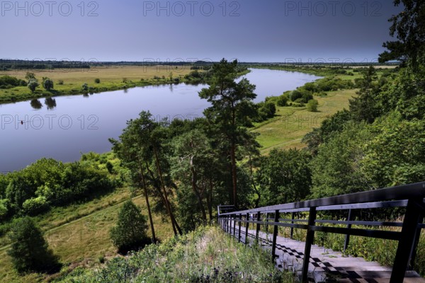 View from Rambynas over the Memel river landscape with lush greenery, Rambynas Regional Park, Lithuania