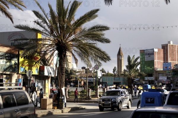 Scene scene of a lively street with palm trees and vehicles, Mekele, Ethiopia
