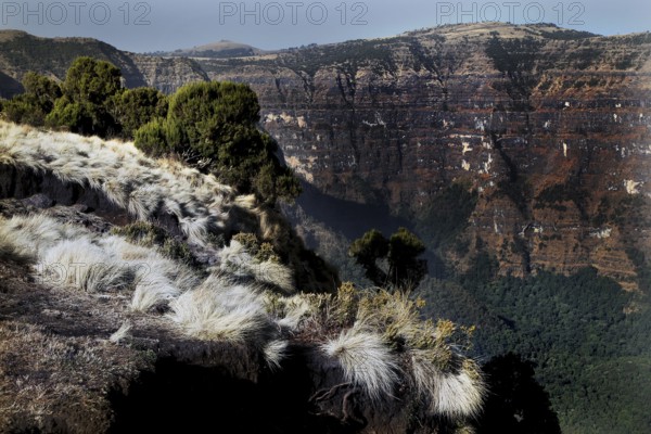 Breathtaking view of the wild gorge in the Semien Mountains, Semien Mountain National Park, Ethiopia
