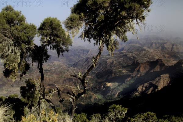 View of the hilly and green landscape of the Semien Mountains, Semien Mountain National Park, Ethiopia