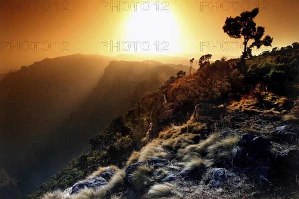 Dramatic sunset over a mountain landscape with tree, zero