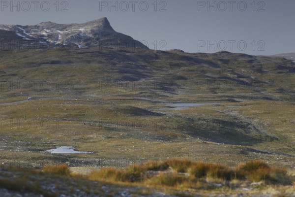 Wide landscape with mountains and flat land, quiet Scandinavian nature, zero