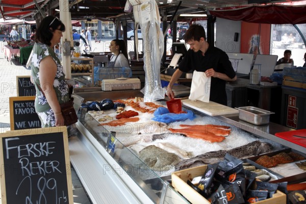 Vendor packs fresh salmon at fish market in Bergen, Bergen, Norway