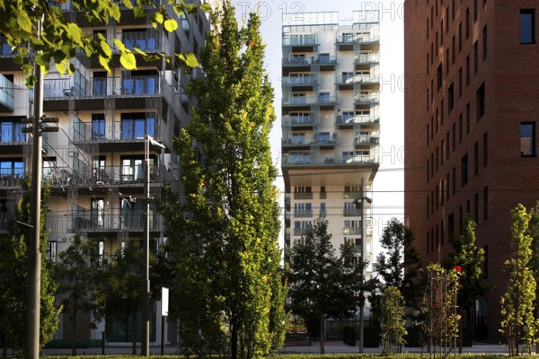 Modern new buildings between trees in Oslo, urban ambiance under clear skies, Oslo, Bydel Gamle Oslo, Norway