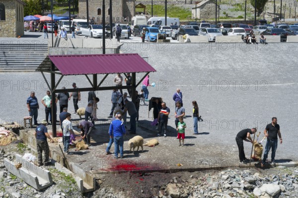 People gather around a slaughter site, bloody spots on the ground, parked cars, slaughter of sheep, Kvemo Mleta, Mtskheta-Mtianeti region, Georgian Military Highway, High Caucasus, Georgia