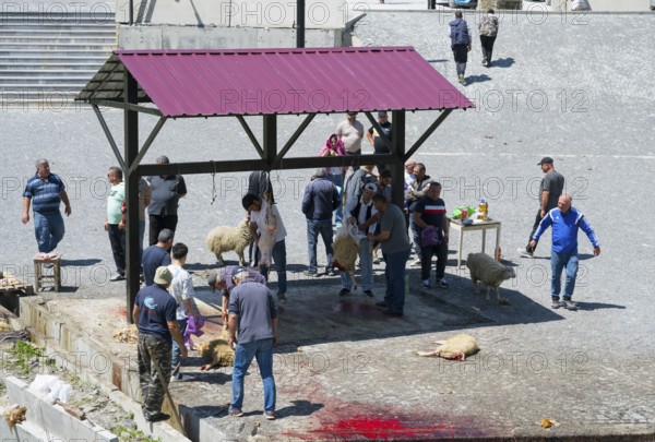 People in a group working on sheep, traces of blood on the ground, rural environment, slaughter of sheep, Kvemo Mleta, Mtskheta-Mtianeti region, Georgian Military Highway, High Caucasus, Georgia