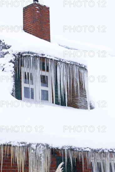 Icicles on an old thatched house covered with snow during snow flurries in winter, Schleswig-Holstein, Germany